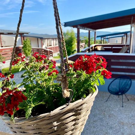 Mobile Homes Kamp Maslina, Biograd Na Moru Extérieur photo