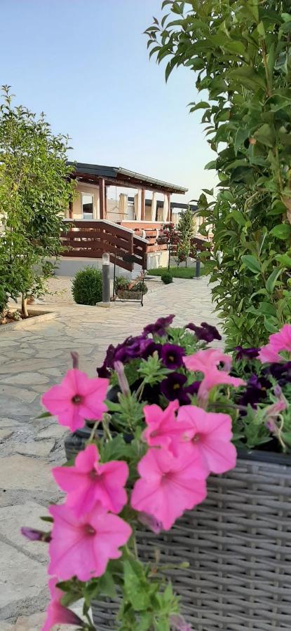 Mobile Homes Kamp Maslina, Biograd Na Moru Extérieur photo