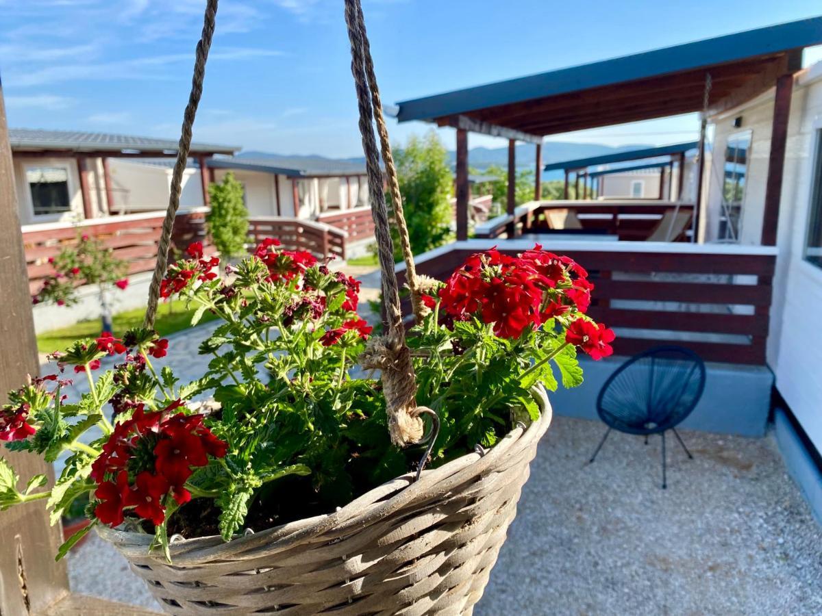 Mobile Homes Kamp Maslina, Biograd Na Moru Extérieur photo