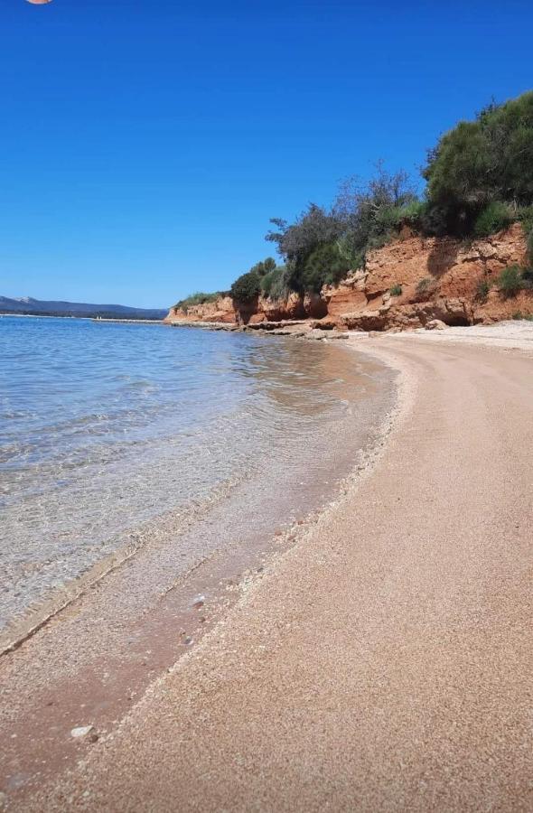 Mobile Homes Kamp Maslina, Biograd Na Moru Extérieur photo